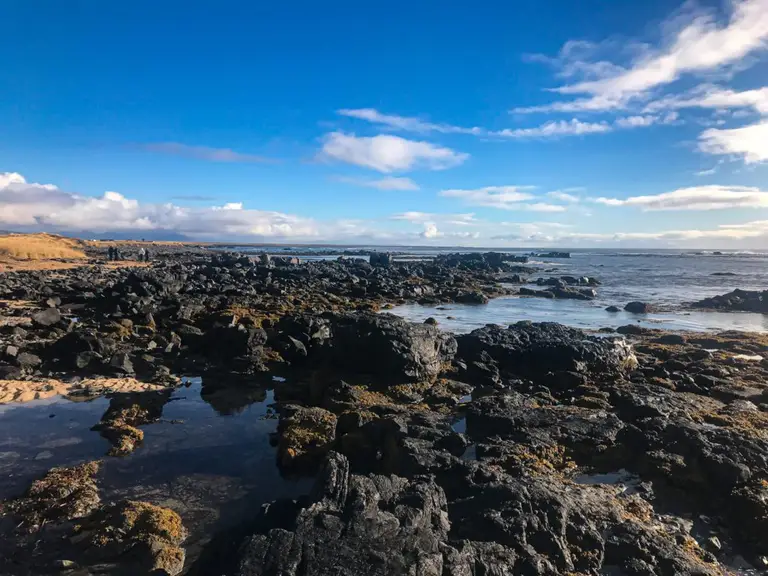 Lava fields on the Snaefellsnes Peninsula