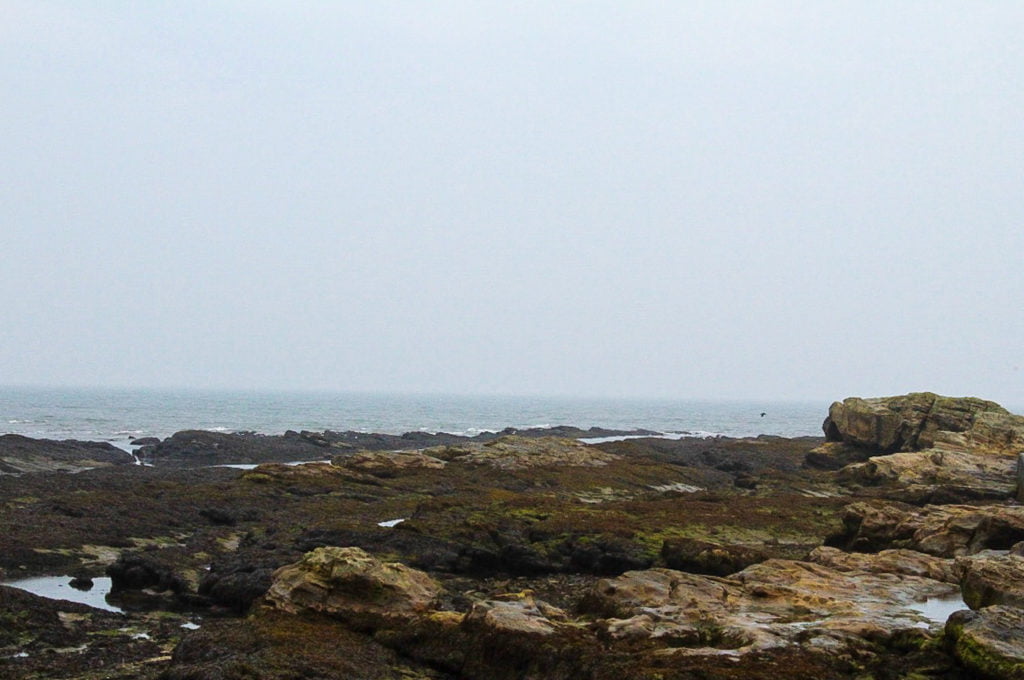 Anstruther Harbour, Scotland