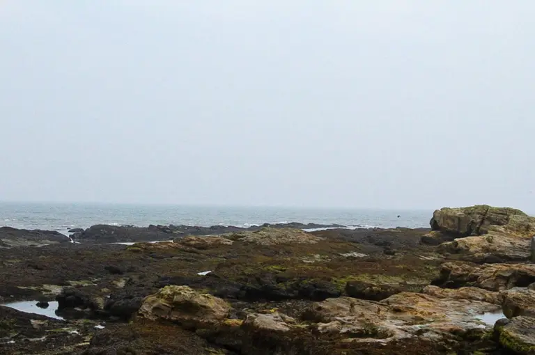 Anstruther Harbour, Scotland