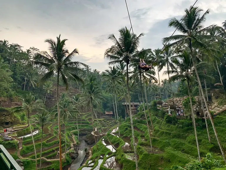 Ubud, Bali
Rice Terrace