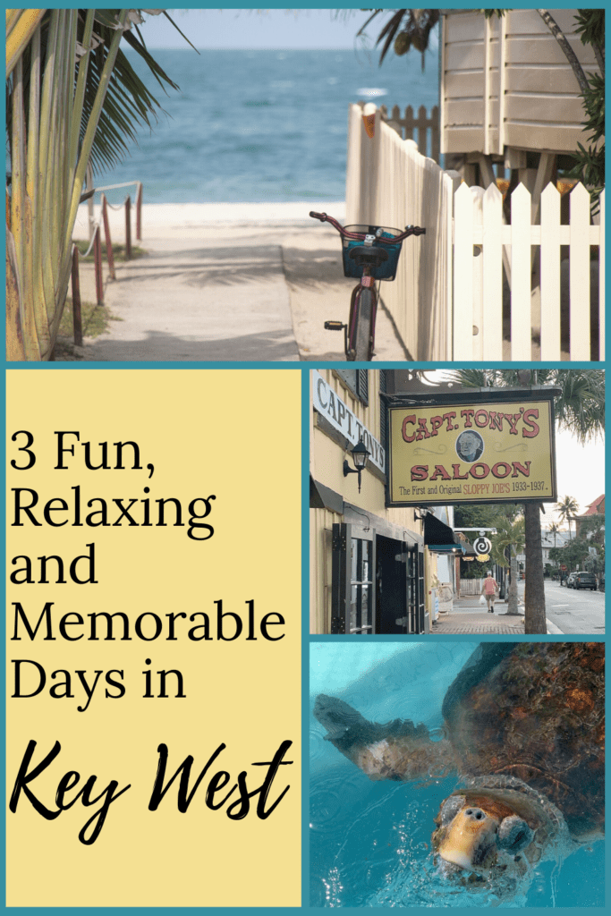 3 Relaxing and fun things to do in Key West