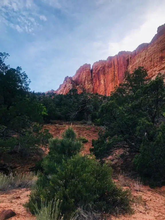 Zion National Park