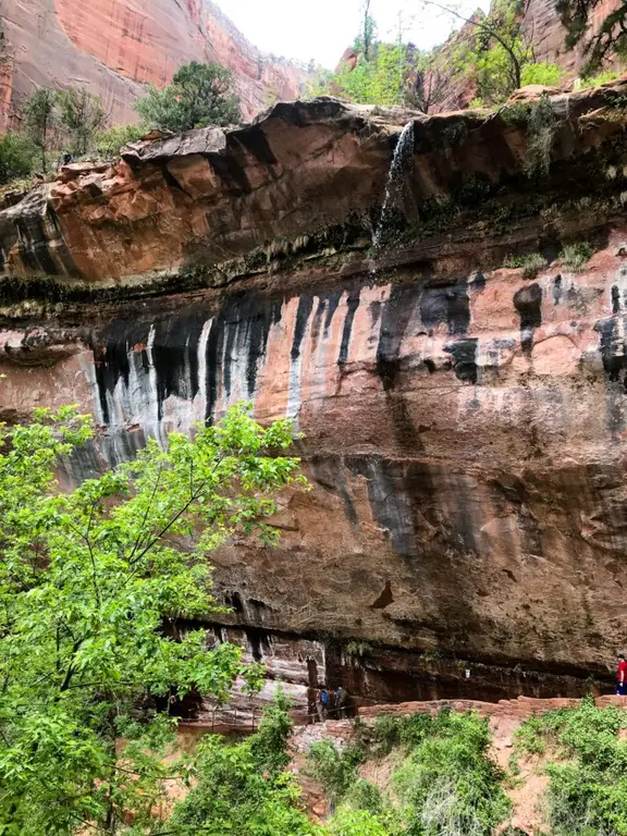 Zion National Park