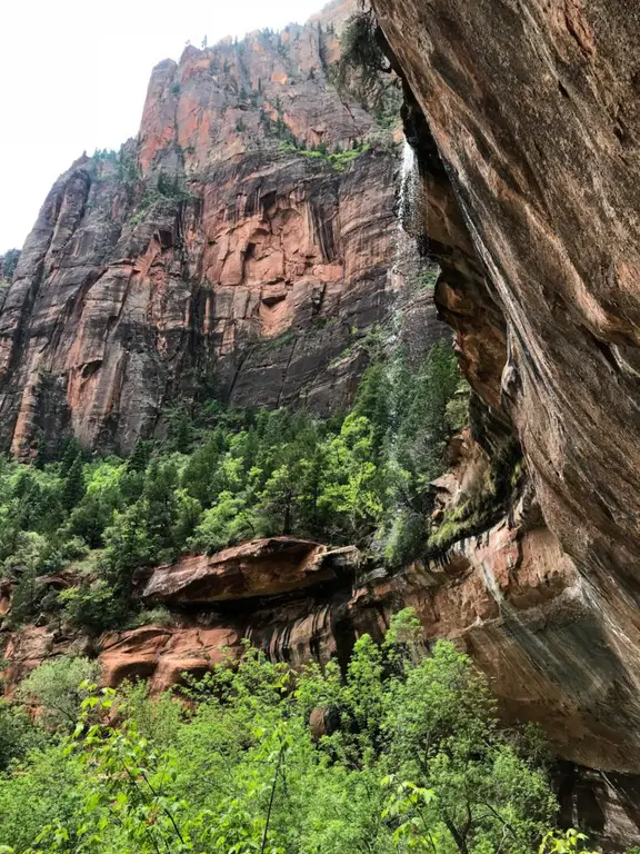 Zion National Park