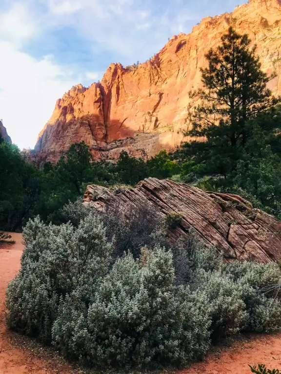 Zion National Park