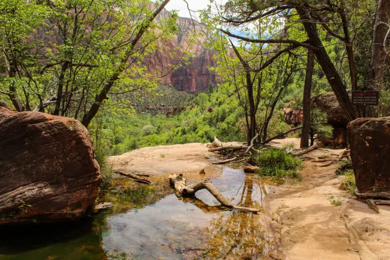 Zion National Park