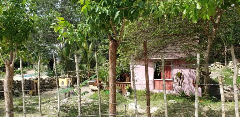 Mayan Jungle ATV Tour
Playa del Carmen, Mexico