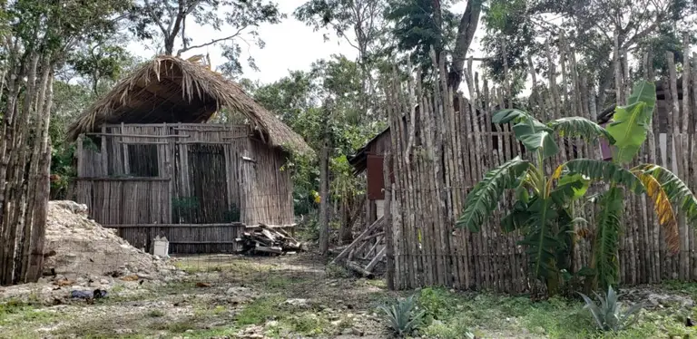 Mayan Jungle ATV Tour
Playa del Carmen, Mexico