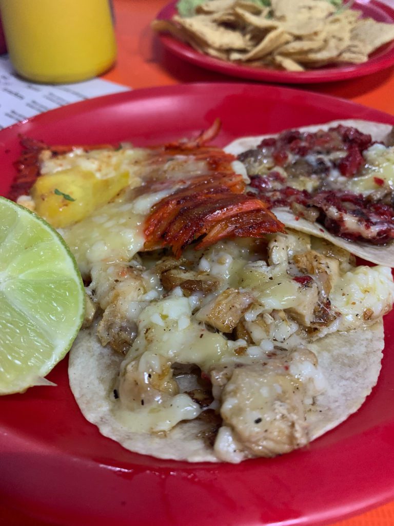 tacos Isla Holbox, Mexico