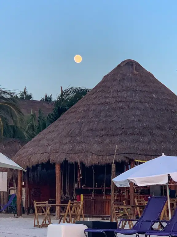 Beach Bar Isla Holbox