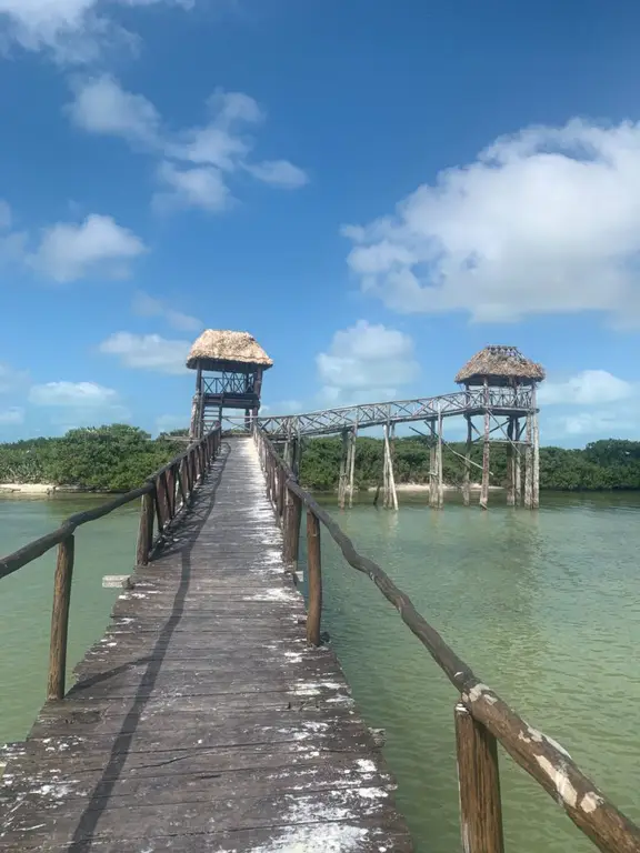 Flamingo Tour on Isla Holbox, Mexico