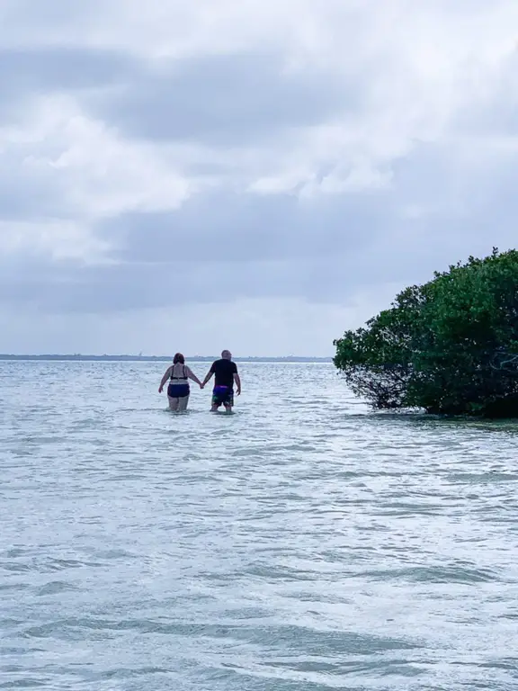 Flamingo Tour on Isla Holbox, Mexico