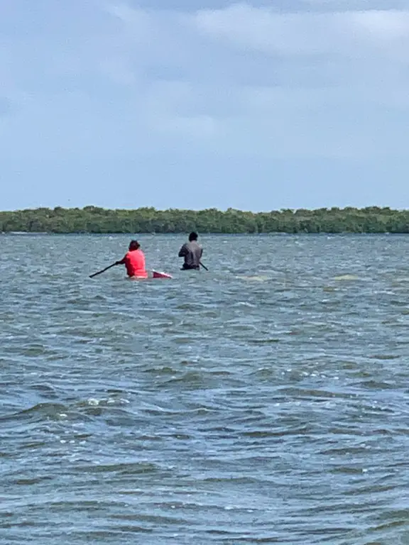 Flamingo Tour on Isla Holbox, Mexico