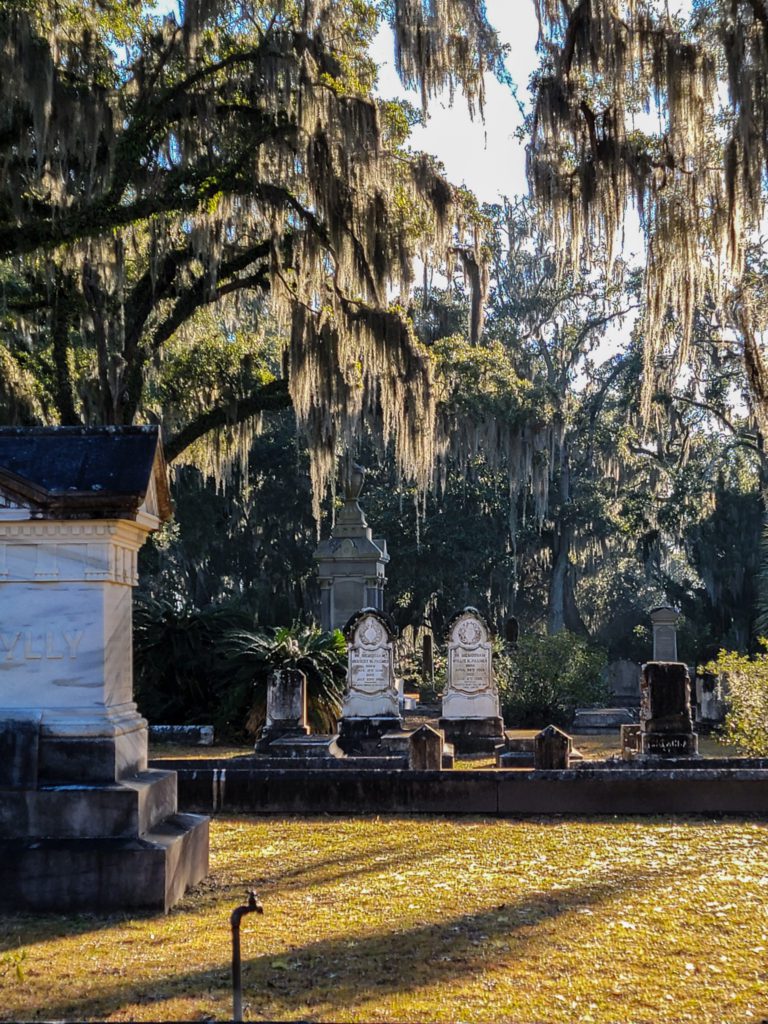 Bonaventure Cemetery
Savannah GA