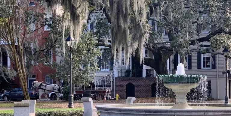 Savannah Charm