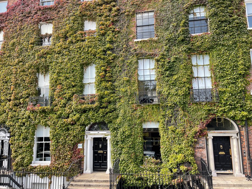 Ivy buildings, Dublin