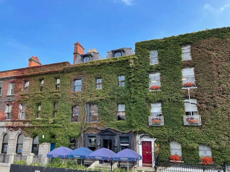 Ivy buildings, Dublin