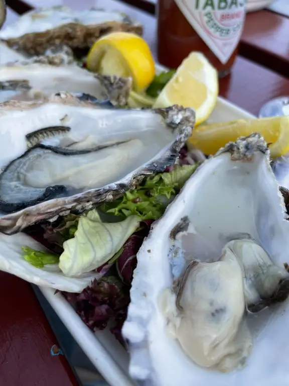 Howth Dublin Oysters