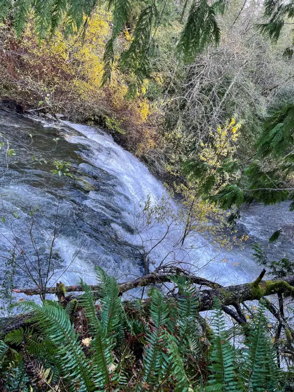 Beaver Falls, Olympic National Park