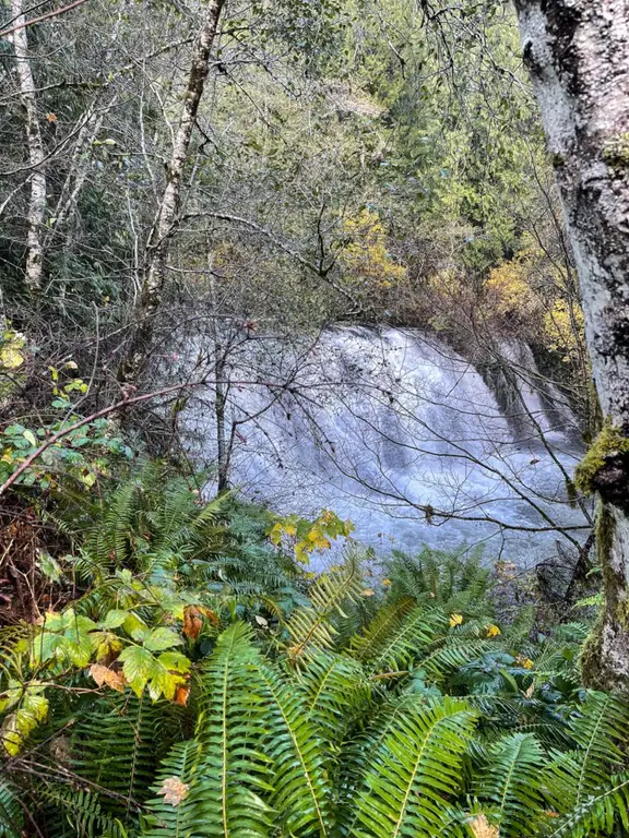 Beaver Falls, Olympic National Park