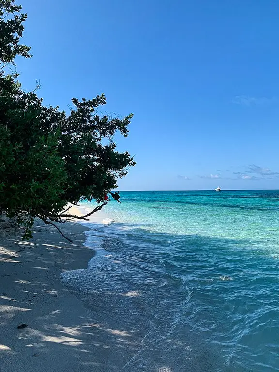 Dry Tortugas NP Snorkeling Beach