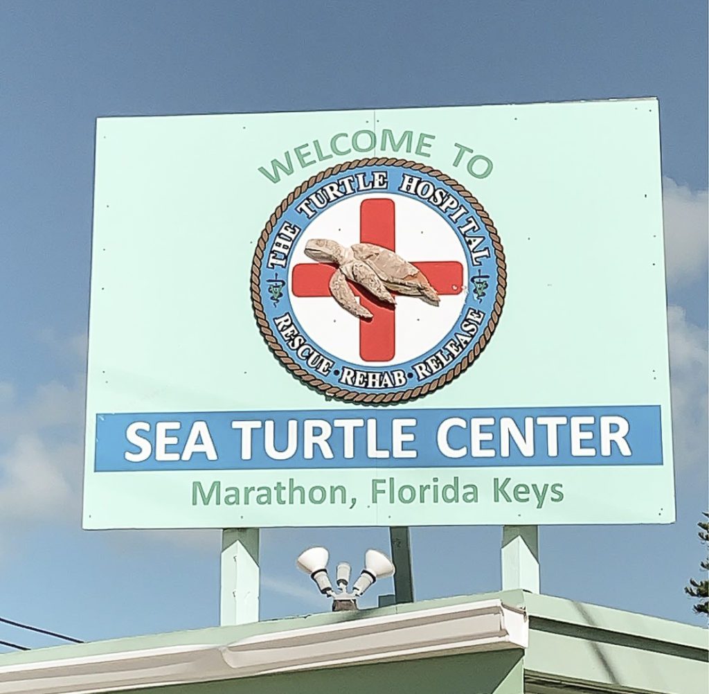 The Turtle Hospital - Sea Turtle Center, Marathon, Florida Keys