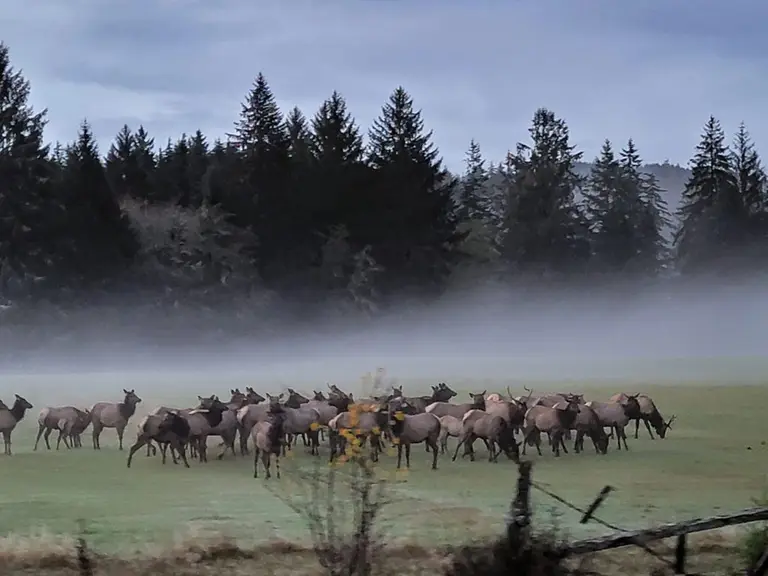 Olympic National Park