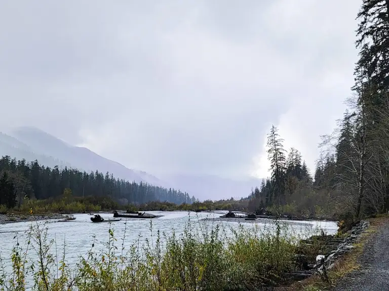 The drive into Hoh Rainforest, Olympic National Park