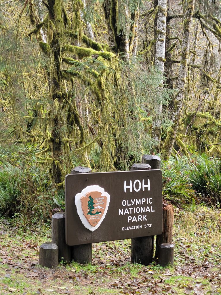 The drive into Hoh Rainforest, Olympic National Park