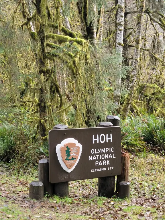 The drive into Hoh Rainforest, Olympic National Park