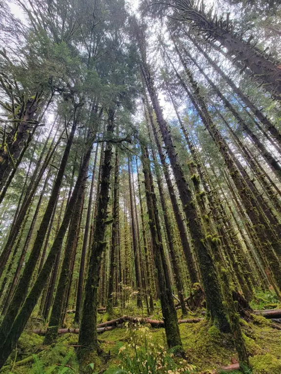 The Hike to Second Beach, La Push, WA, Olympic Peninsula