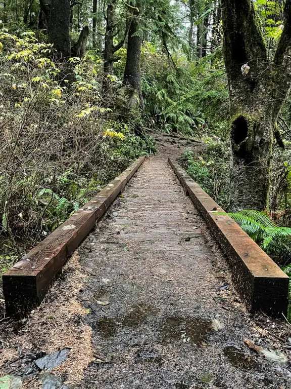 The Hike to Second Beach, La Push, WA, Olympic Peninsula