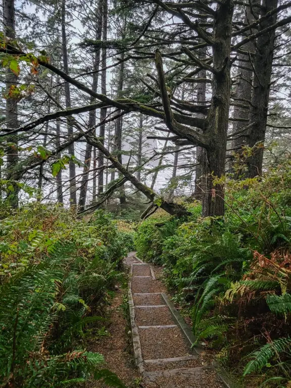 The Hike to Second Beach, La Push, WA, Olympic Peninsula