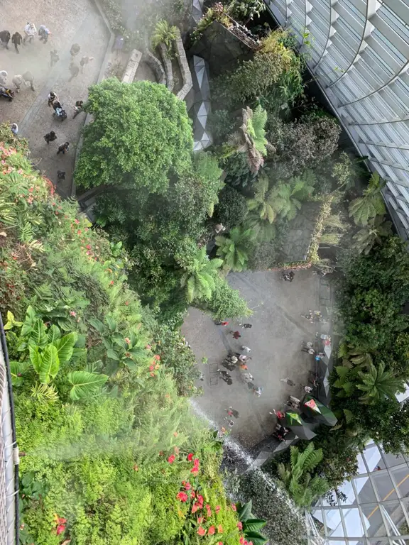 Singapore Gardens by the Bay - Cloud Forest