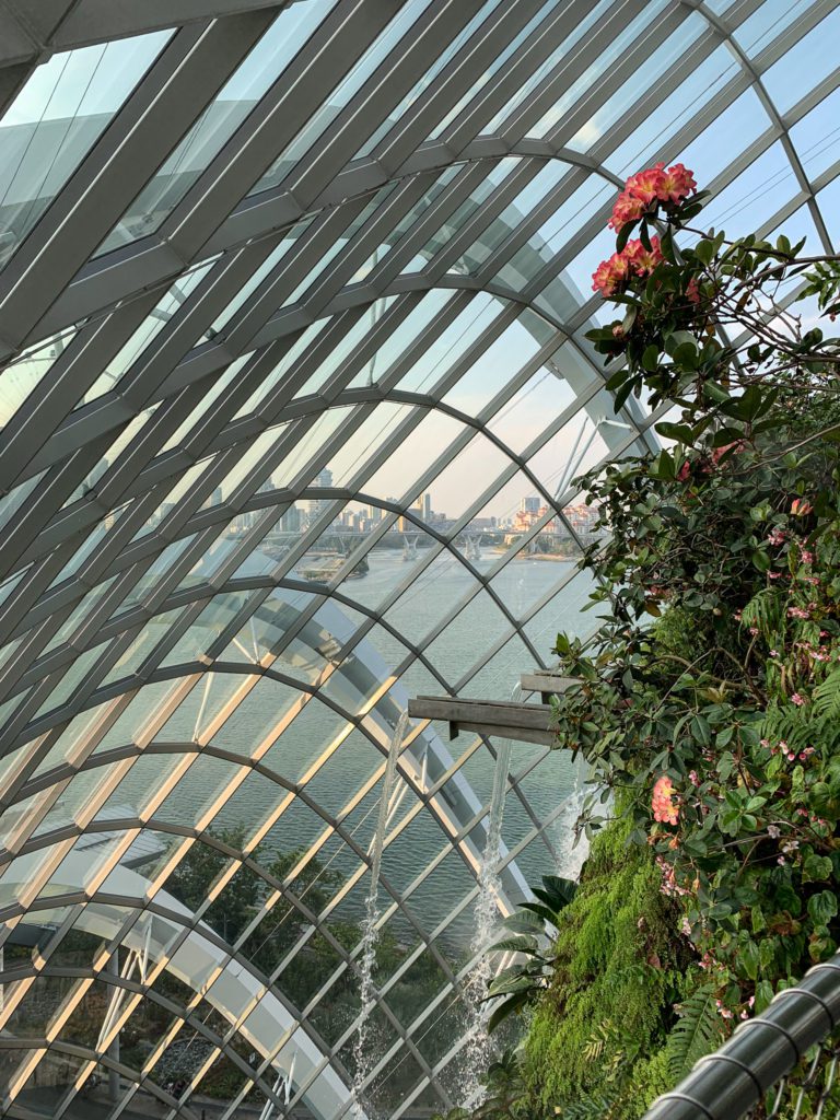 Singapore Gardens by the Bay - Cloud Forest