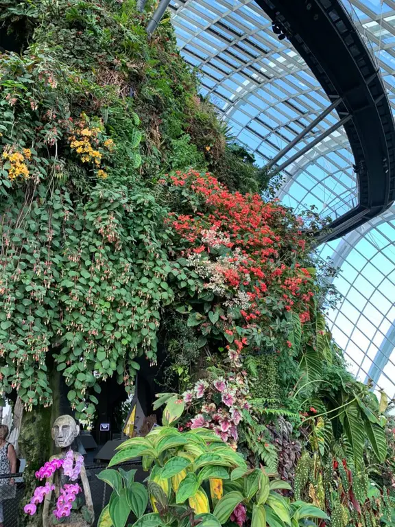 Singapore Gardens by the Bay - Cloud Forest