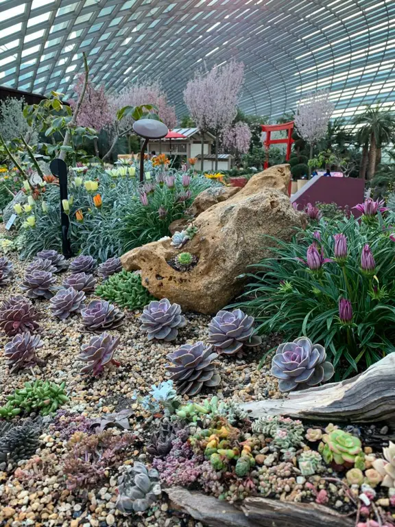 Singapore Gardens by the Bay - Flower Dome