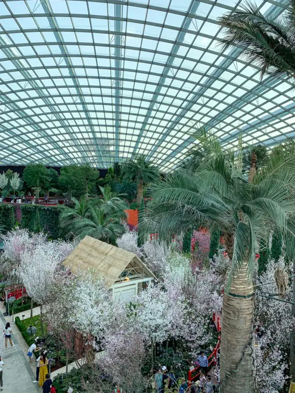 Singapore Gardens by the Bay - Flower Dome