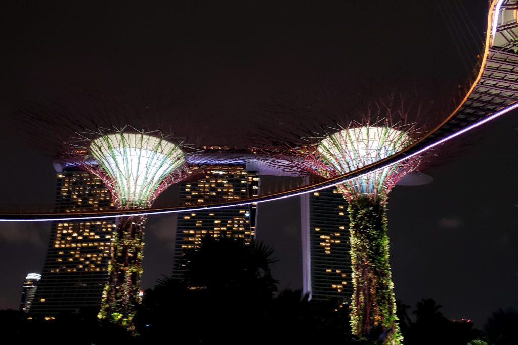 Gardens by the Bay Supertree Grove at night
