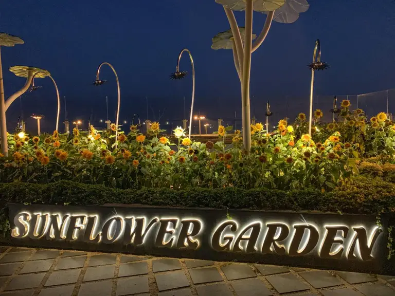 Changi Airport Singapore - Sunflower Garden