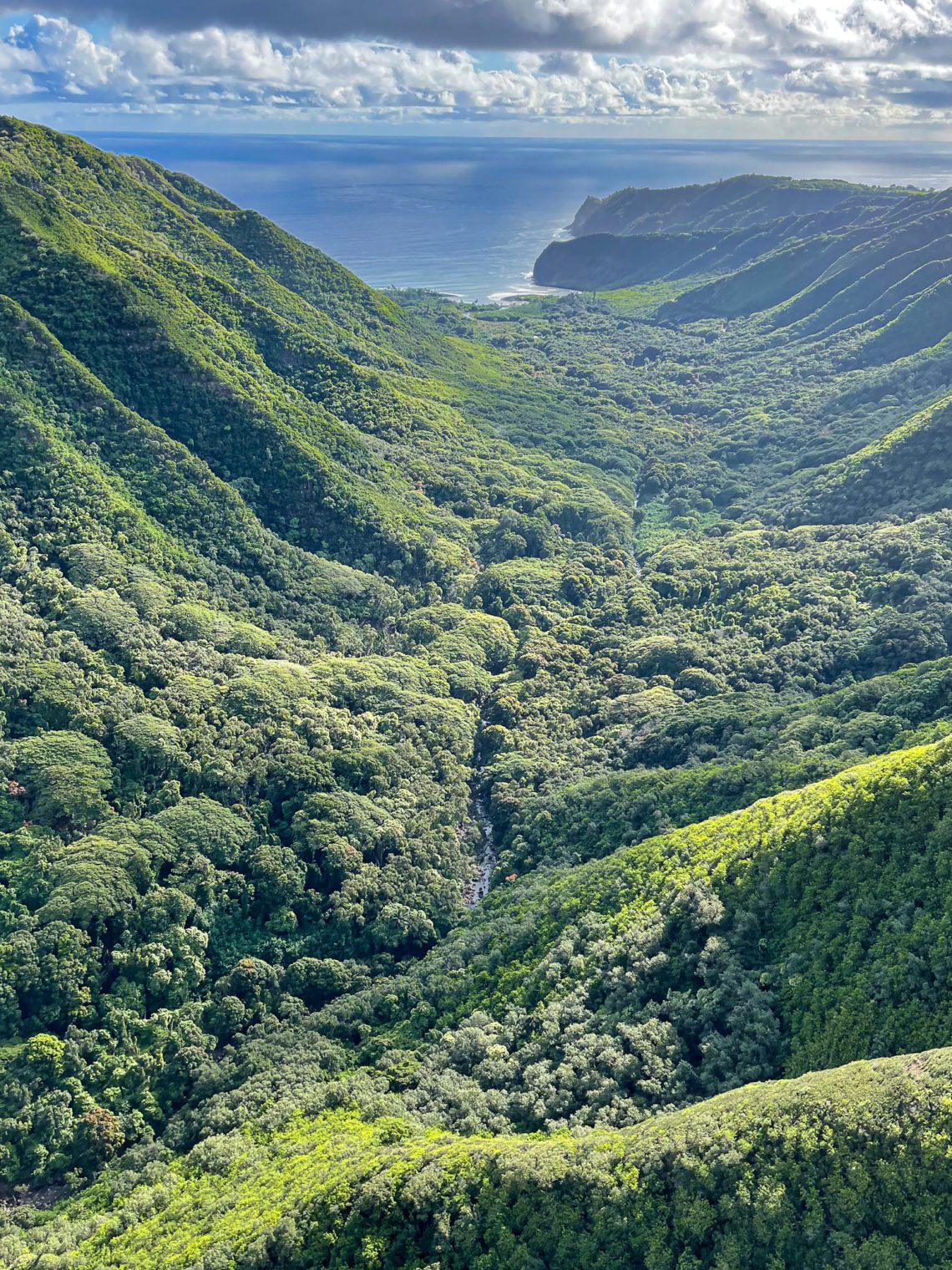 Doors Off Maui Helicopter Tour - The Best Thing Ever