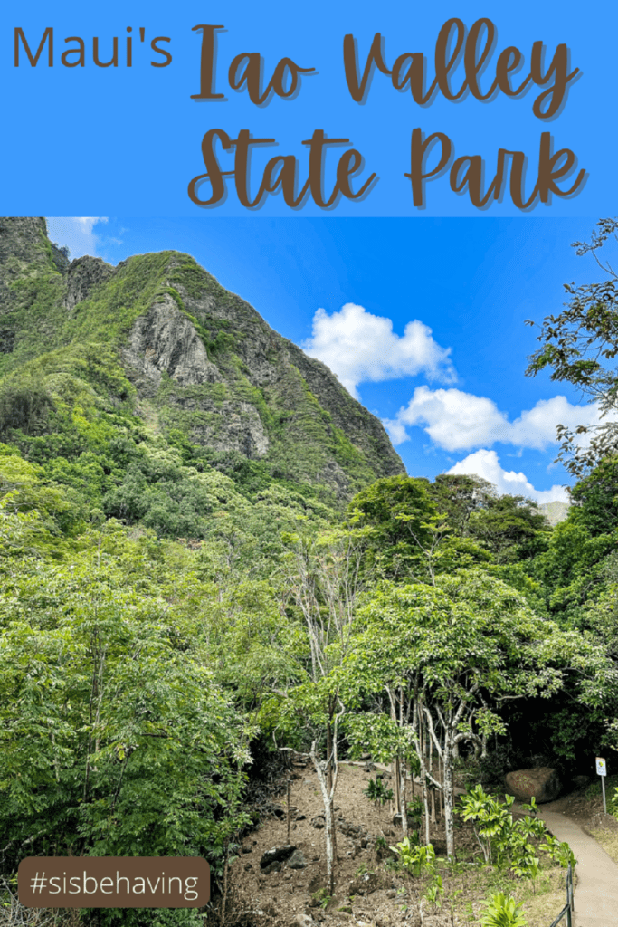 Iao Valley State Park Pin