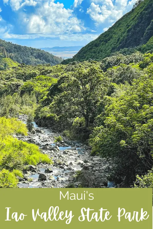 Iao Valley State Park Pin