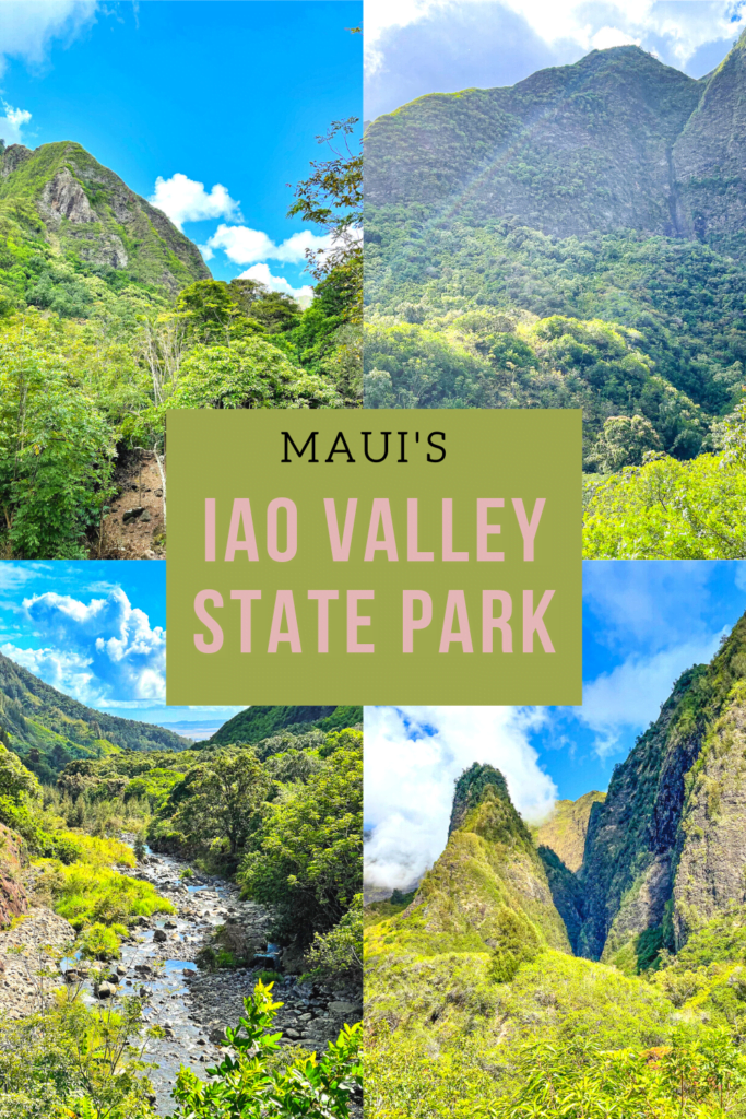 Iao Valley State Park Pin