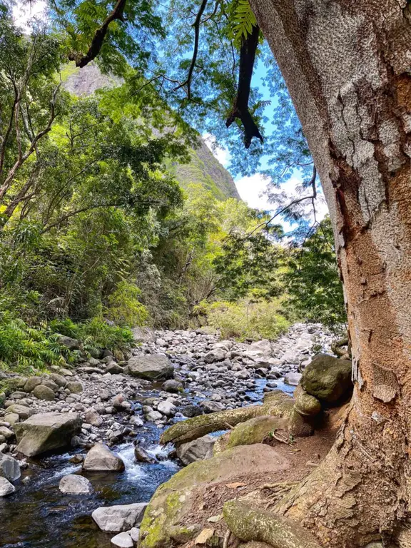 Iao Valley State Park, Maui