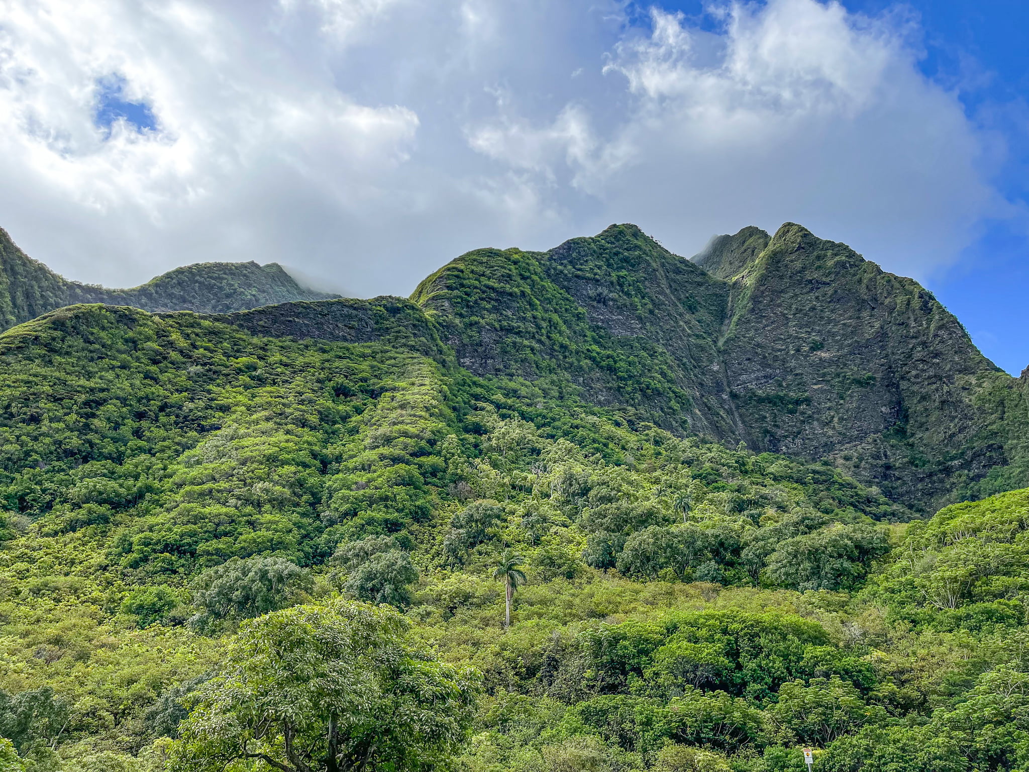 Iao Valley State Park – One of the Best Experiences On Maui