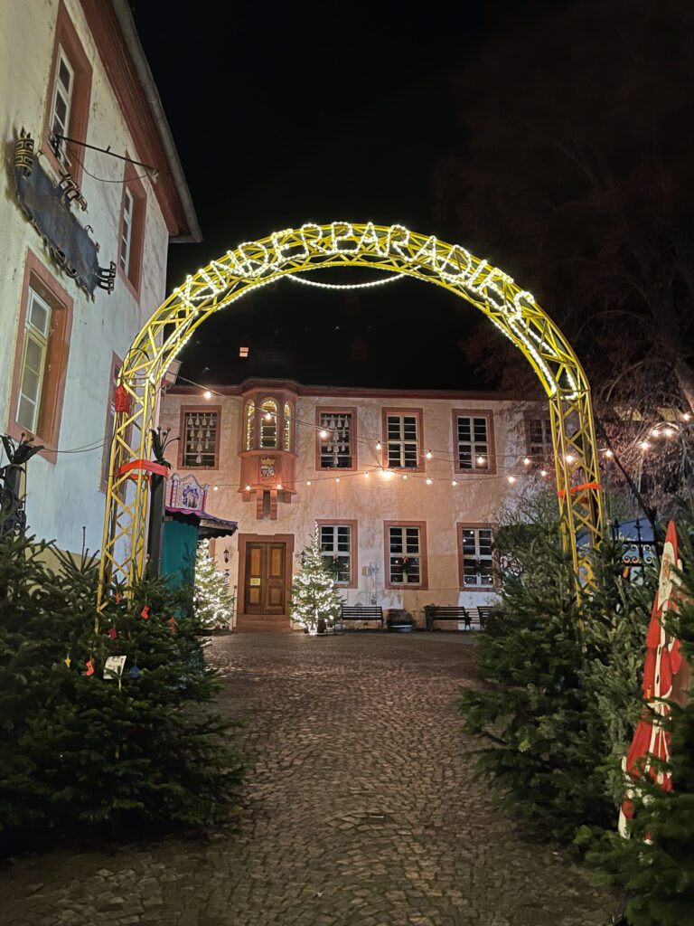 Rudesheim, Germany Christmas Market