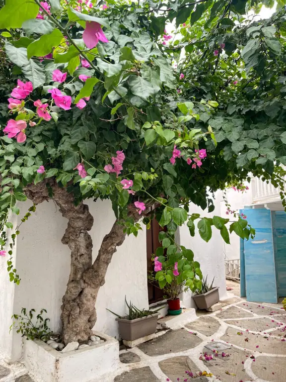 Naoussa Paros