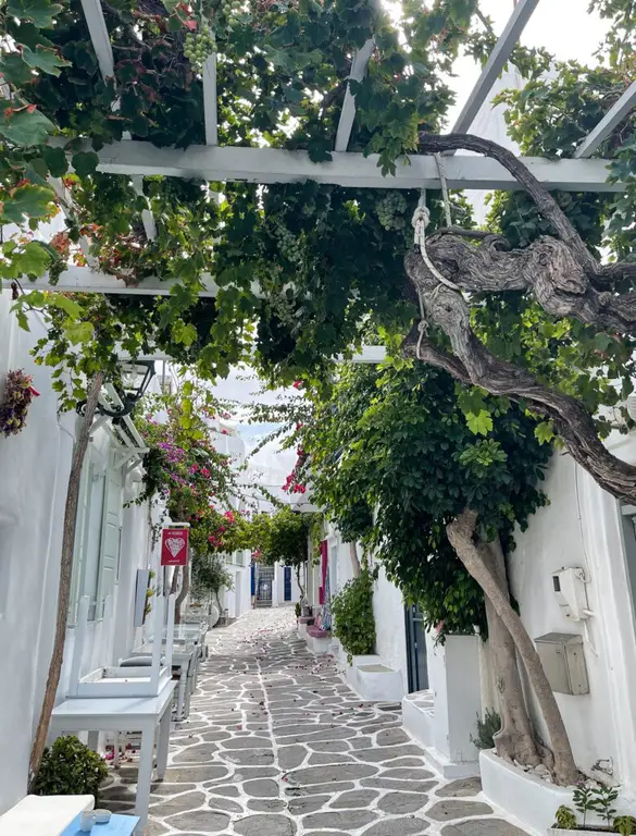 Naoussa Paros