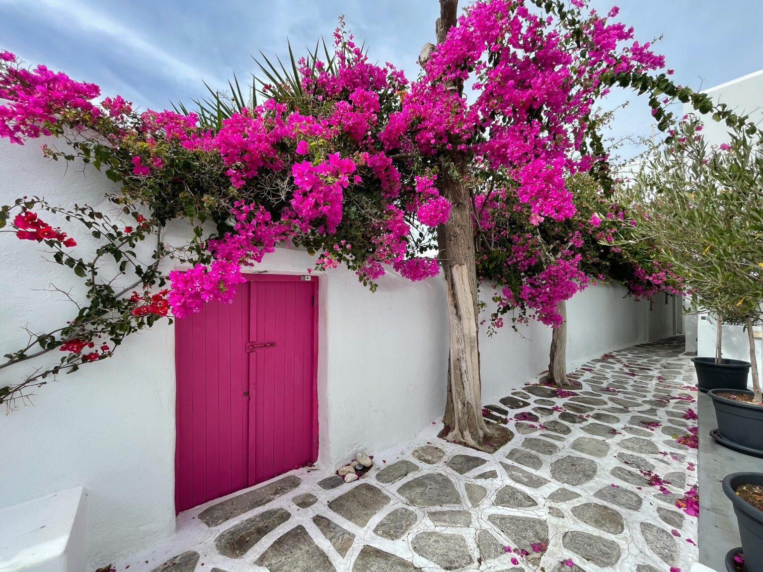 Paros – A Perfect Paradise in the Cyclades